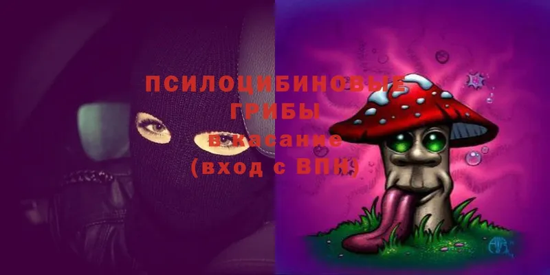 Галлюциногенные грибы MAGIC MUSHROOMS  ссылка на мегу зеркало  Карабулак 